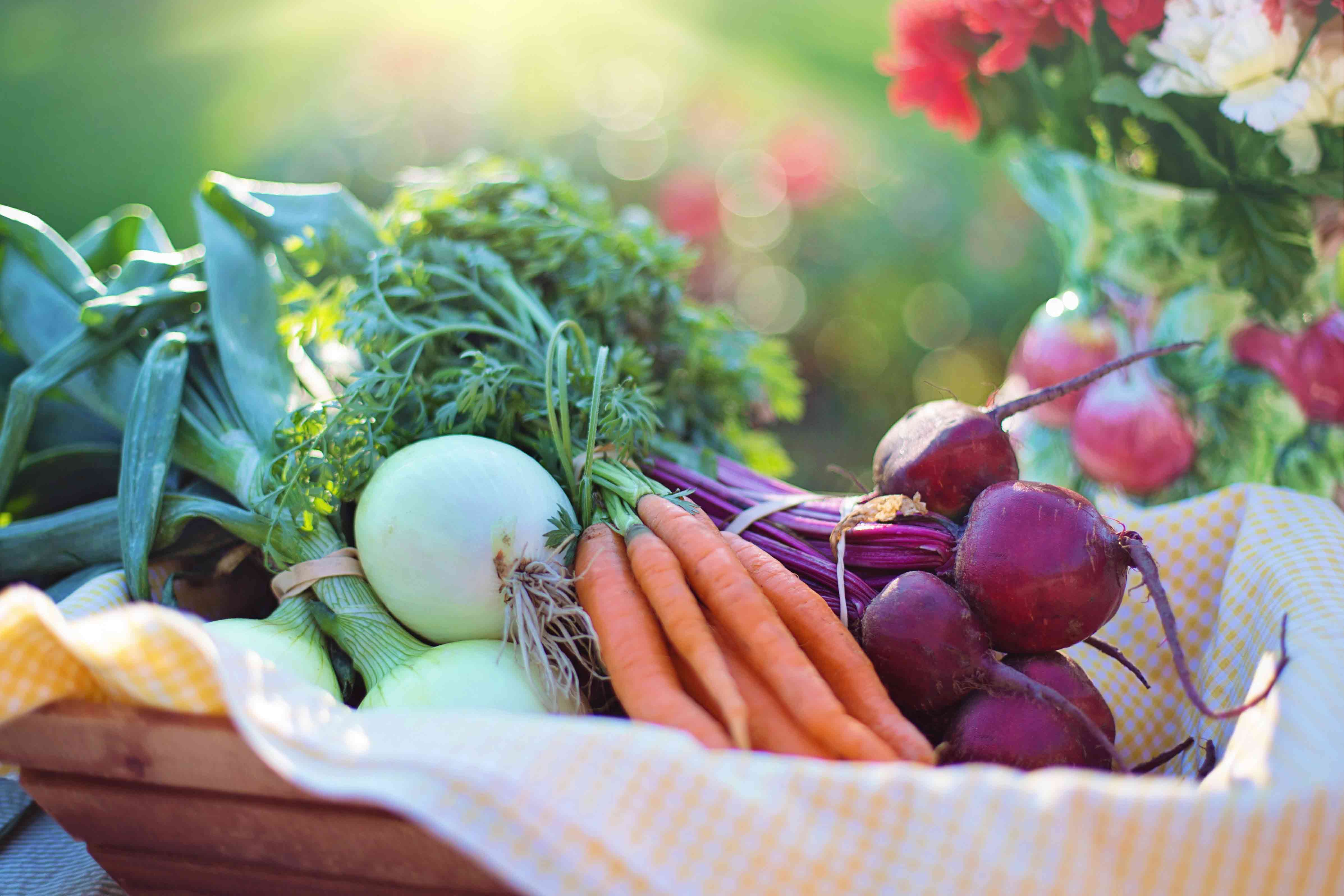 A basket of fresh vegetables